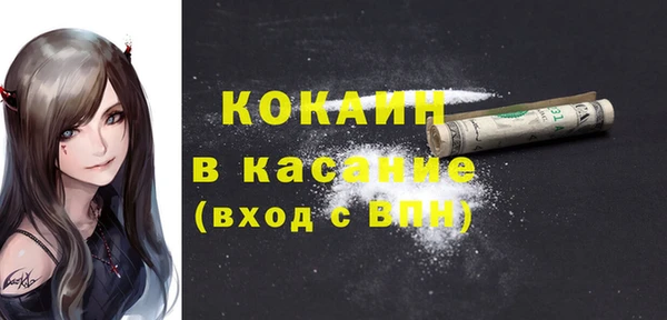 стафф Корсаков