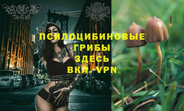 дмт Волоколамск