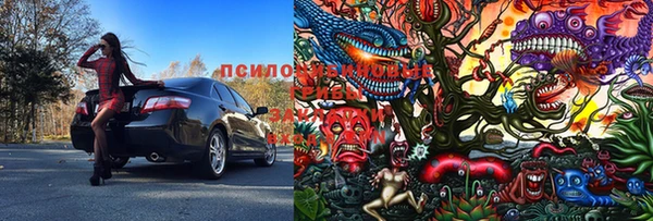 прущие крисы Коряжма